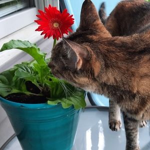 Meet your Posher, Linda